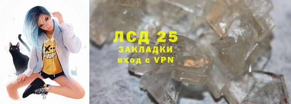 прущие грибы Алзамай