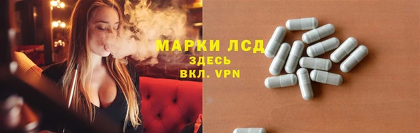 прущие грибы Алзамай