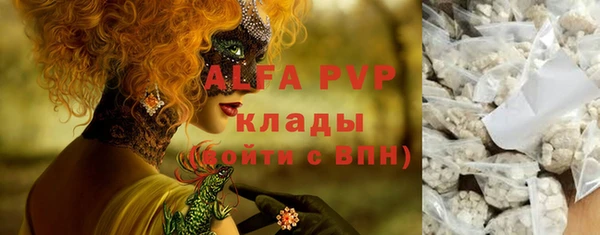 прущие грибы Алзамай