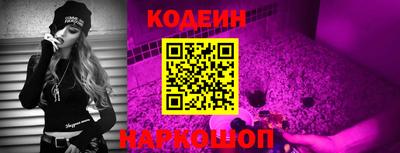 крисы Новокубанск