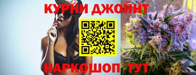 крисы Новокубанск