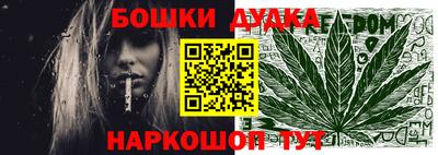 крисы Новокубанск