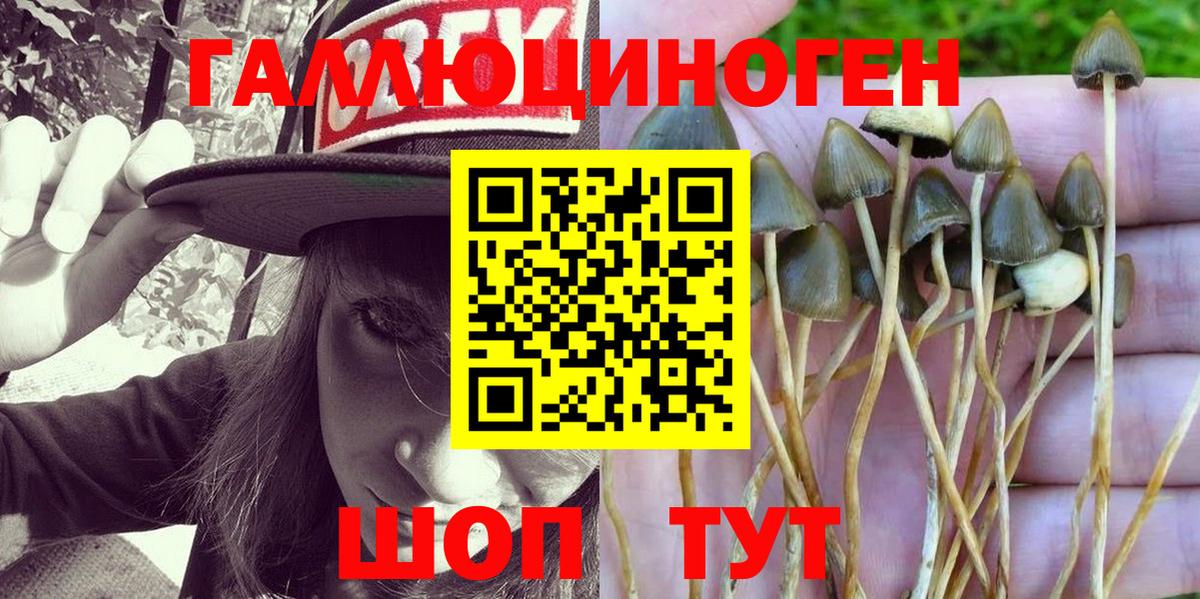 Нарьян-Мар  Галлюциногенные грибы GOLDEN TEACHER  Вход с VPN 